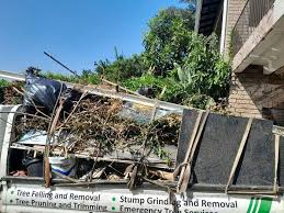 Best Residential Junk Removal  in Ragland, AL